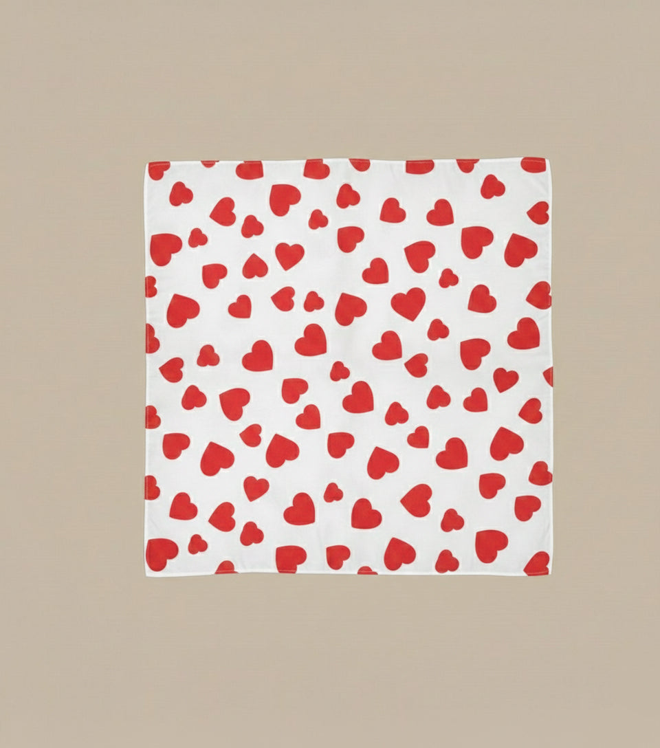 (2€50 pièce) LOT DE 2 CARRÉ CA26-16