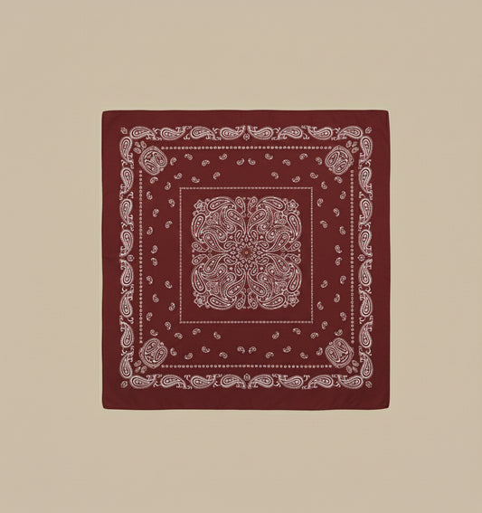 (2€50 la pièce) LOT DE 2 CARRÉ CA26-25