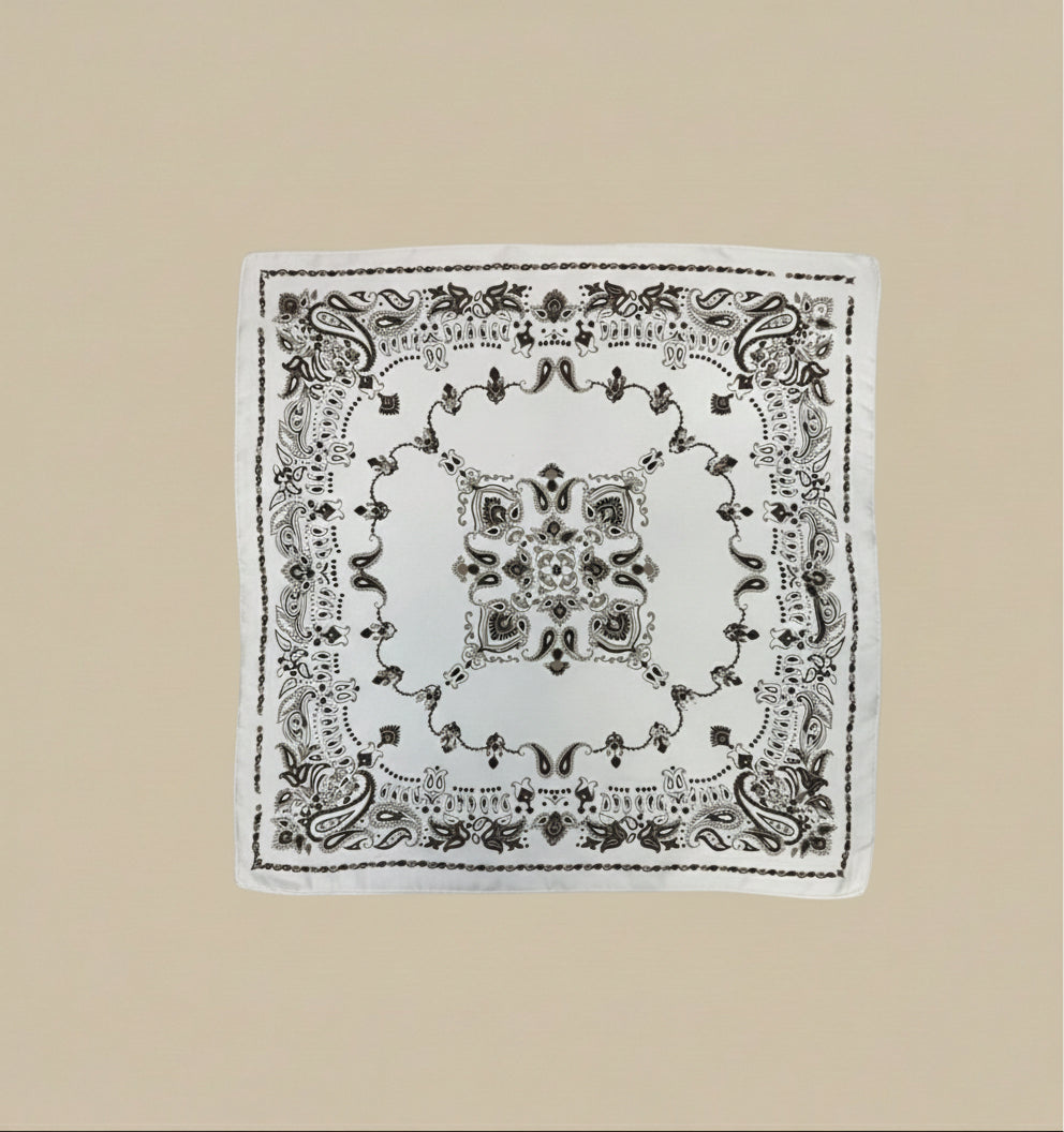 (2€50 pièce) LOT DE 2 CARRÉ CA26-26