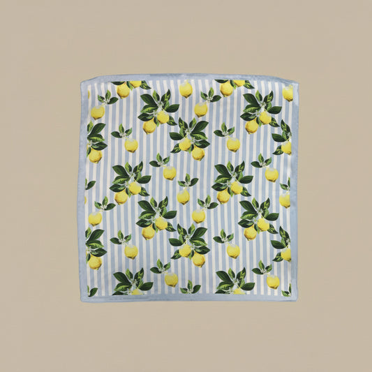 (2€50 pièce) LOT DE 2 CARRÉ CA26-30