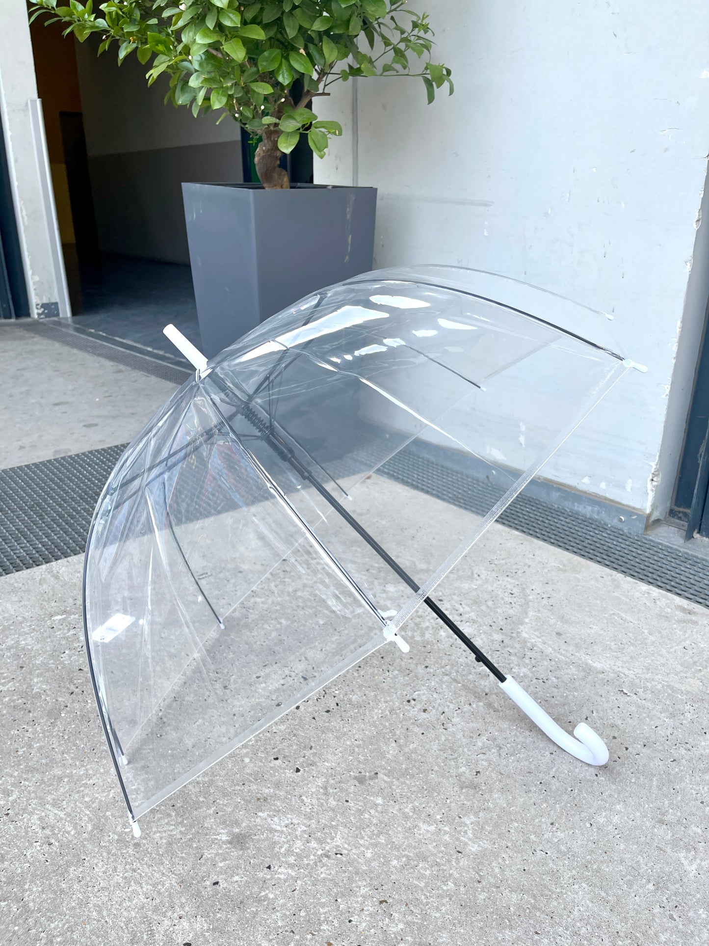 12-Piece Assortment of Transparent Japanese Umbrellas for Long Trekking, Windproof and Portable - P5003L